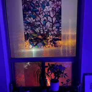 Meet your Posher, Imani